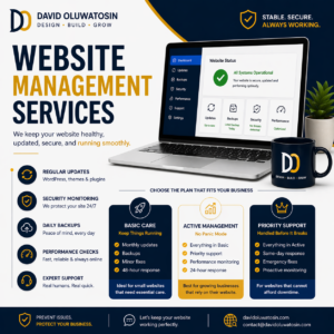 Website management services in Nigeria for WordPress websites